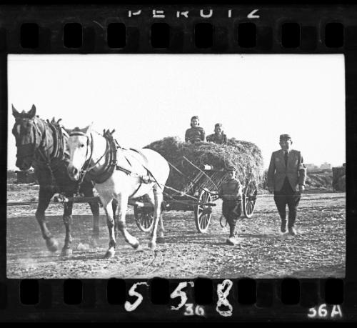 A Jewish policeman walking alongside a young boy pulling a horse-drawn cart