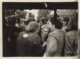 Contact Print #7 from page #1 in Lodz Ghetto Contact Album