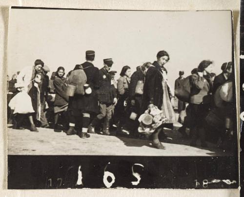 Contact Print #165 from Page #5 from Lodz Ghetto Album