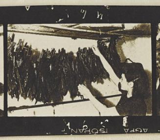 Contact Print #465 from page #16 in Lodz Ghetto Contact Album