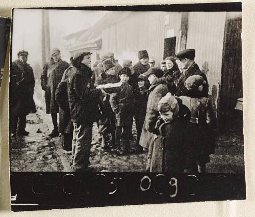 Contact Print #509 from page #12 in Lodz Ghetto Contact Album