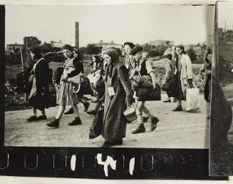 Contact Print #141 from Page #3 from Lodz Ghetto Album