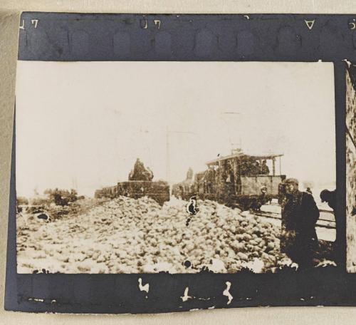 Contact Print #413 from page #12 in Lodz Ghetto Contact Album