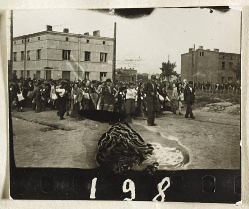 Contact Print #198 from Page #5 from Lodz Ghetto Album