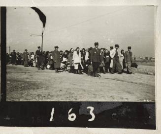 Contact Print #163 from Page #3 from Lodz Ghetto Album