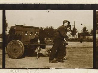 Contact Print #338 from page #17 in Lodz Ghetto Contact Album