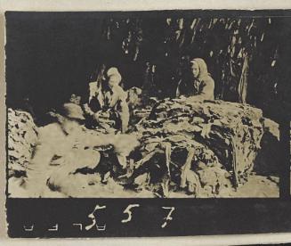 Contact Print #557 from page #13 in Lodz Ghetto Contact Album