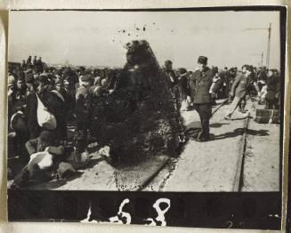 Contact Print #168 from Page #5 from Lodz Ghetto Album