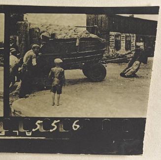 Contact Print #556 from page #12 in Lodz Ghetto Contact Album