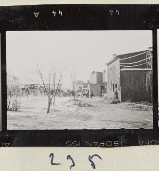 Contact Print #295 from Page #8 from Lodz Ghetto Album