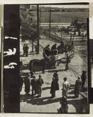 Contact Print #174 from Page #5 from Lodz Ghetto Album