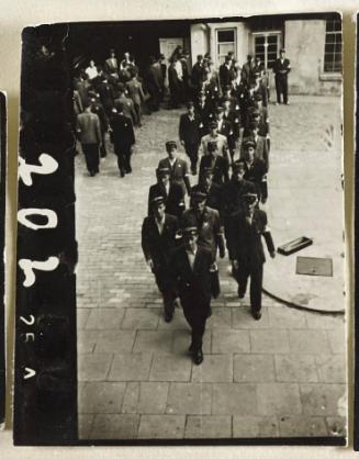 Contact Print #202 from Page #5 from Lodz Ghetto Album