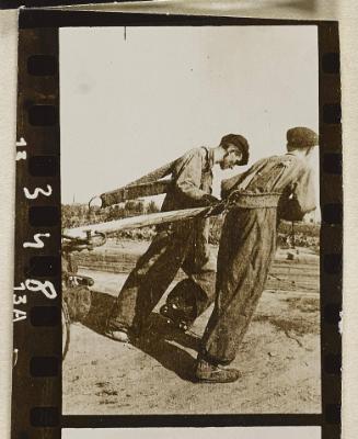 Contact Print #348 from page #10 in Lodz Ghetto Contact Album