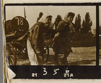 Contact Print #356 from page #10 in Lodz Ghetto Contact Album