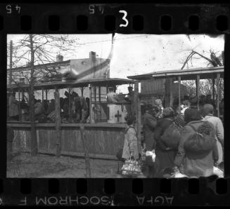 Boarding deportation tram #54