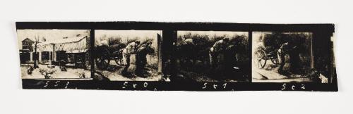 Lodz Ghetto Folio: contact print with 4 frames -  negative Nos. 559 - 562