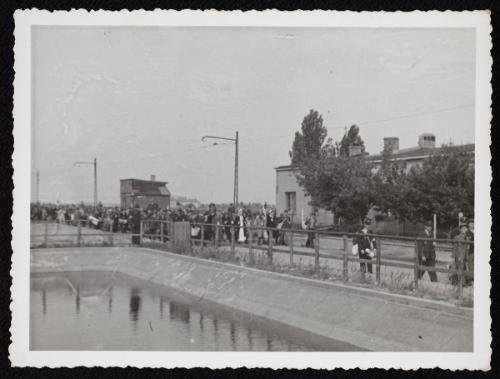 Mass deportation walking by water basin