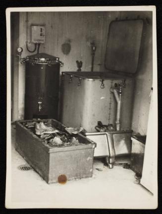 Corpses and body parts in the morgue