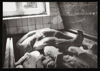 Corpses and body parts in the morgue