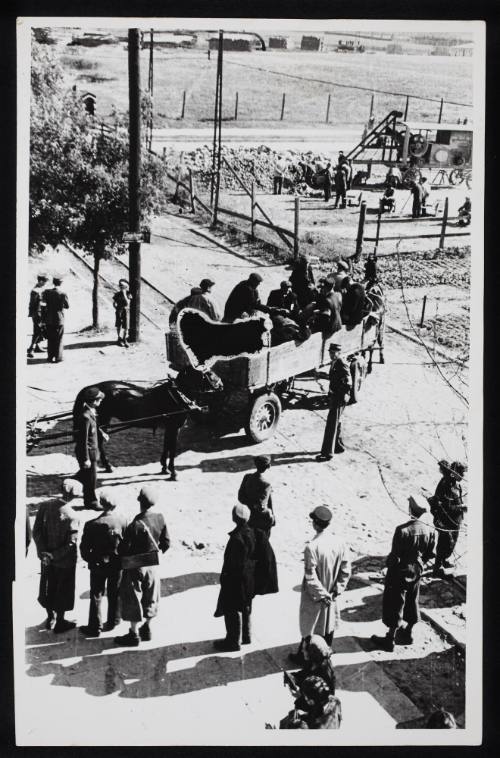 Ghetto police watching workers in horse-drawn wagon going to labour site