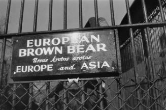 Central Park Zoo, New York