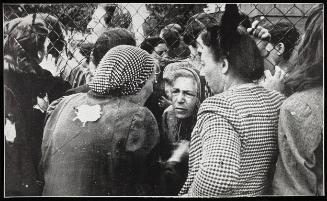 Three women in conversation through fence