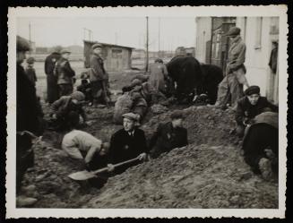 Man digging pit while boys search the ground for potatoes