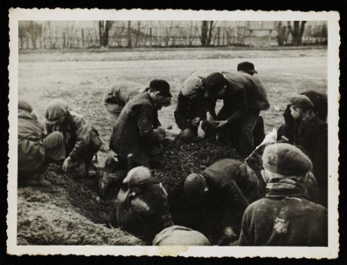 Children digging ground for food