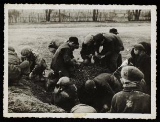 Children digging ground for food