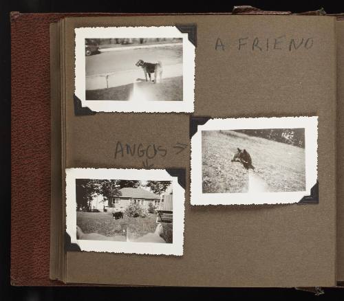 [Page 18 of Snapshot Album by Alan Fraser Fairlie]