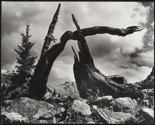 Rocky Mountains Colorado