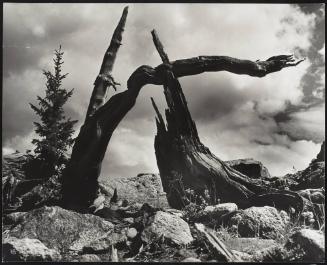 Rocky Mountains Colorado