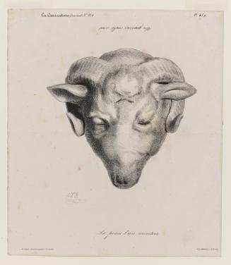 La peau d'un mouton from La Caricature