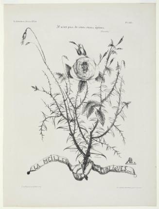 Il n'est pas de roses sans épines (Proverbe) LA MEILLEURE DES RÉPUBLIQUES