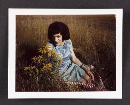 [Susanna sitting in a field in a blue dress, Casa Susanna, Hunter, NY]
