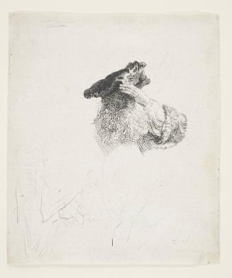 Old Man Shading his Eyes with his Hand