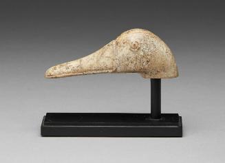 Head of a Goose
