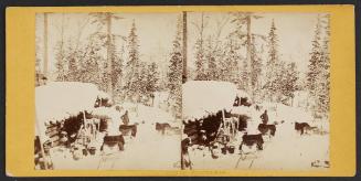 Lumber Shanty in the lumber wood on Lievre River