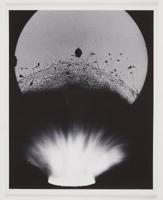 Dynamite Cap Explosion