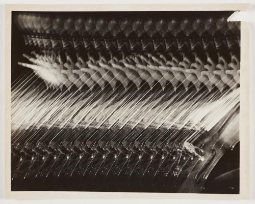 Cellist Multiflash-Streak Camera