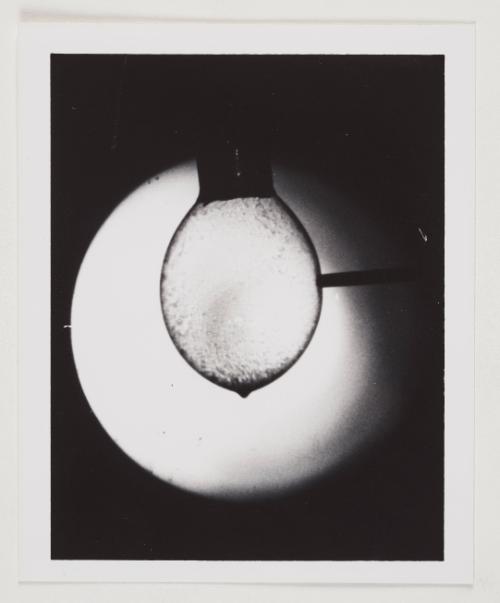 Soap Bubble Puncture