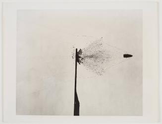 Bullet thru Cardboard