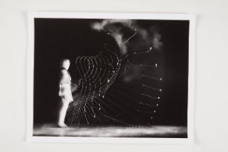 Cracking the Whip 7201