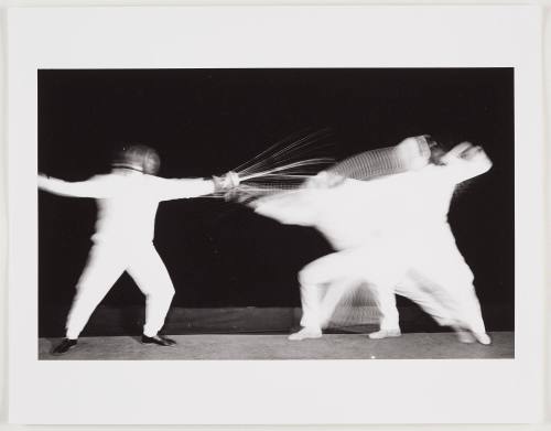 Two Fencers Multiflash