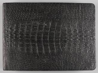 Album: Family Portrait and Snapshot