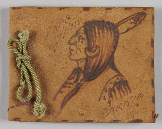 Album of Re-photographed Picture Postcards