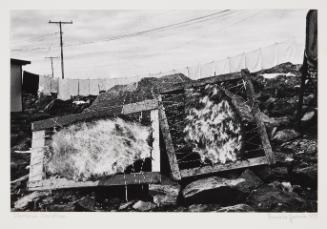 Stretched seal skins and hanging laundry