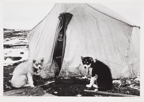 Ilihaping Nashooratook saying goodby (tent w/guardian dogs)