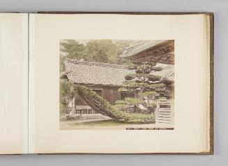 [Boot Pine Tree at Kyoto]   from Views of Kobe, Kioto...