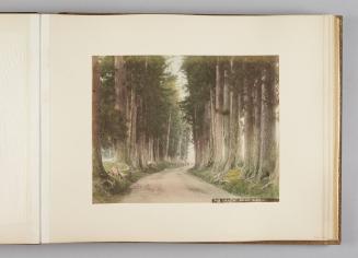[Imaichi Road, Nikko]   from Views of Tokyo, Nikko, Yokohama